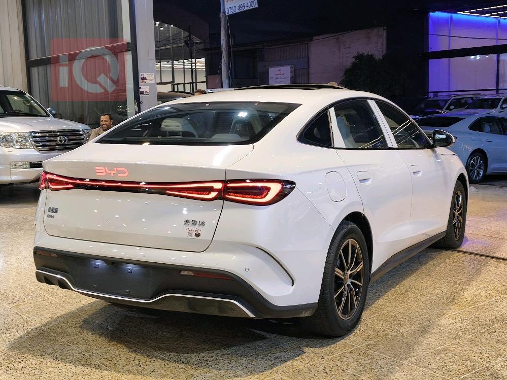 بي واي دي سيل 06 DM-i